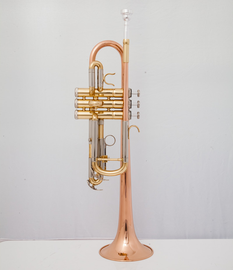 Professional C Trumpet  Music  - Musical Instrument Fagot ulasan dan harga