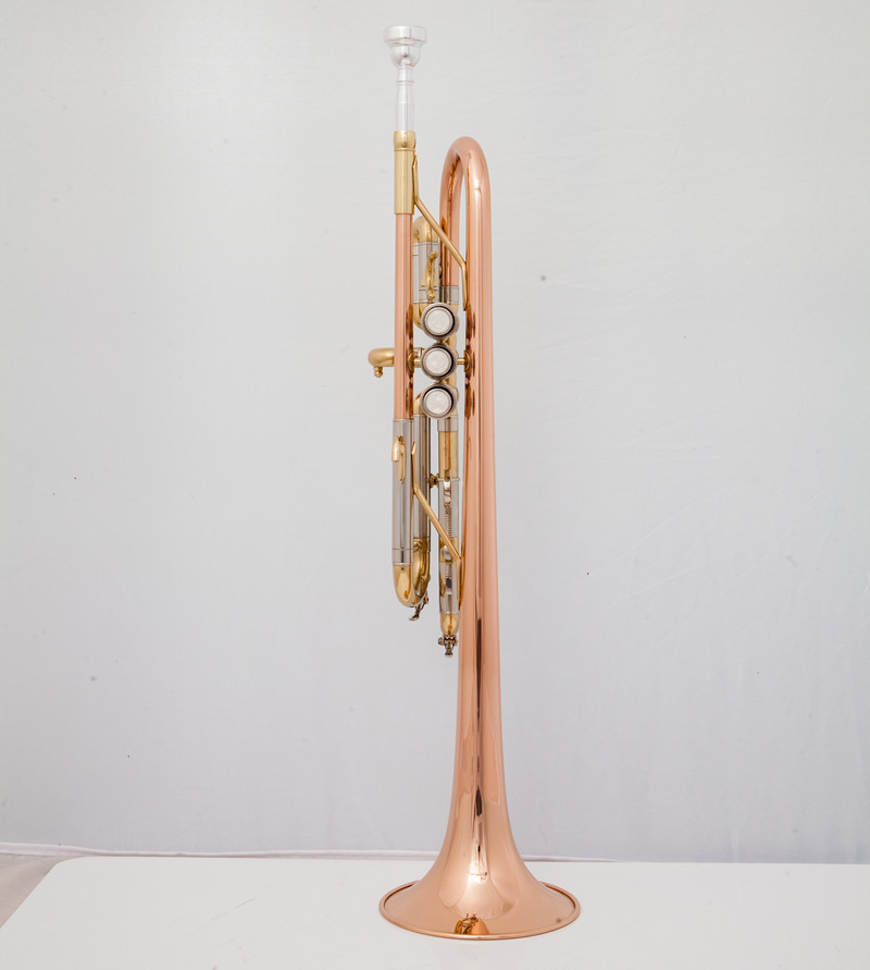 Professional C Trumpet  Music  - Musical Instrument Fagot ulasan dan harga
